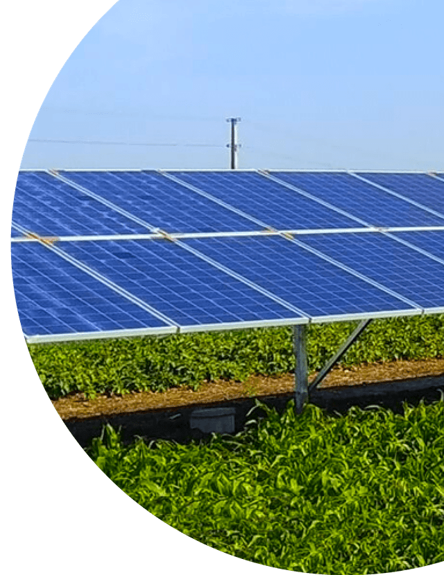 Solar Panel